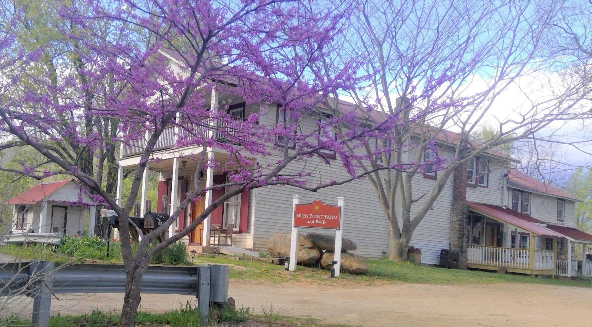 Bliss Point Farm And B&B, Llc Earlysville Exterior foto